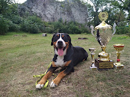Diesel Our Champions